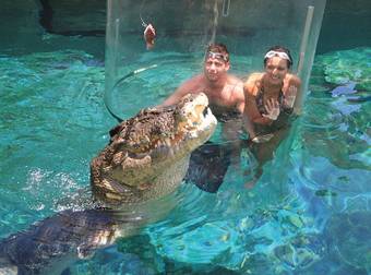 When Daredevils Swim With Crocodiles For An Adrenaline Rush, Everyone Wins.