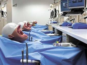 These Bizarre Models Are What Dentists Use To Practice Their Skills